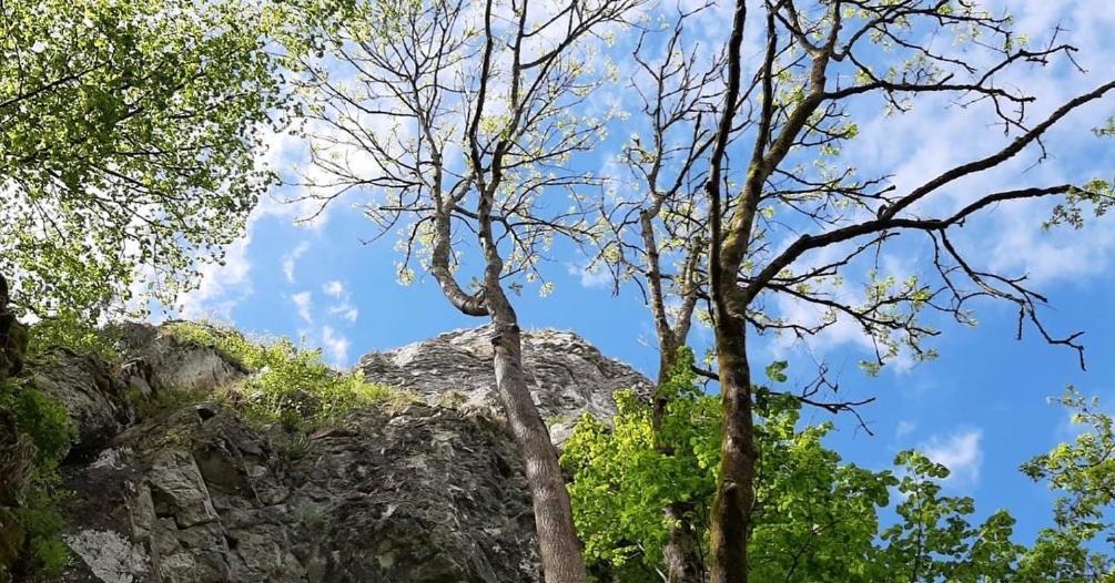 Vikarti Stay, A Lovely House With Incredible View Динант Екстериор снимка